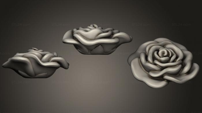 Статуэтки и статуи разные (Цветение розы, STKR_1067) 3D модель для ЧПУ станка